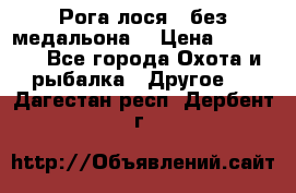 Рога лося , без медальона. › Цена ­ 15 000 - Все города Охота и рыбалка » Другое   . Дагестан респ.,Дербент г.